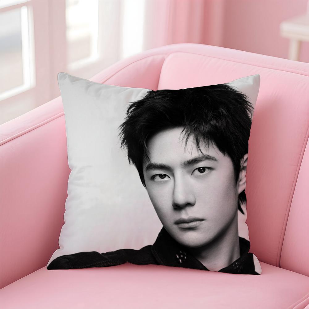WWang Yibo Cushion Cover Soft Plush Throw Pillow Cushion CoverDoubleSided Printed Pillow Case for Sofa Home Decor