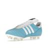 Adidas Copa Mundial FG Argentina Men Sneakers White Cloud-White Core-Black IF9464