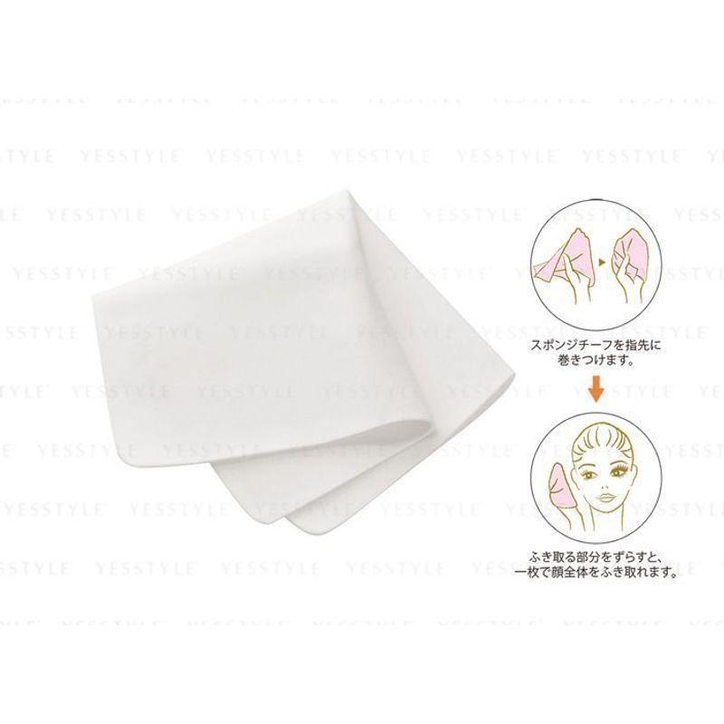 Kanebo - Beauty Works Schwamm Chief