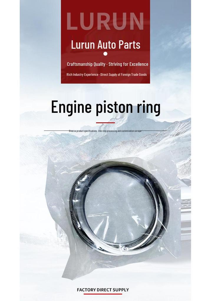 Piston Ring for Kia Carens/Sorento 2.0T Engine (Model 23040-2G410)