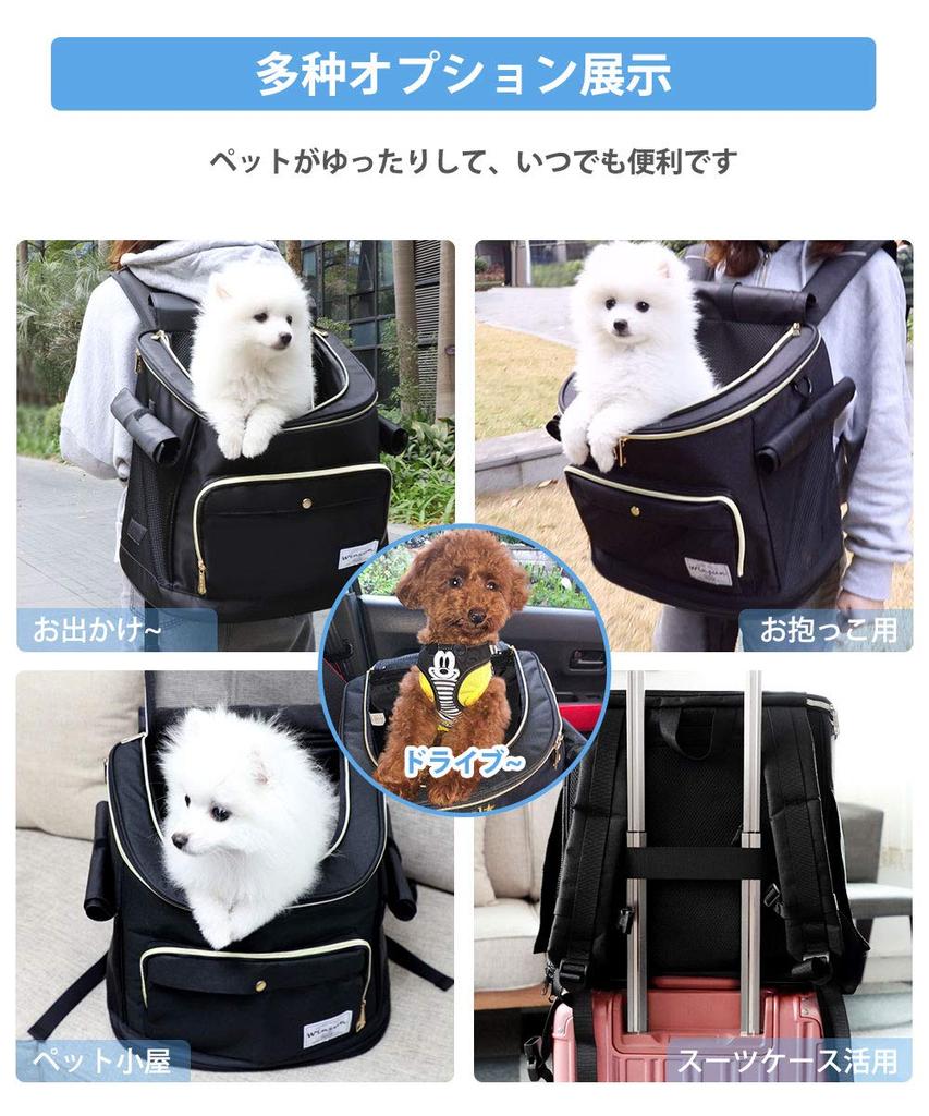 WinSun Pet Carrier Dog Carrier Cat Carrier For Small Scratch and Bite For Hospital Train Evacuation Lead Black Bag, Bag, Backpack, Bag, Bag, Backpack,