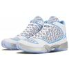 Air Jordan 29 'Pantone' 717796-108