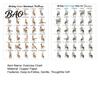 Easy Home Workouts For Elderly 2Pcs Chair Yoga Poster Set, 30 Day Seated Exercise Chart for Safe Senior Fitness Program Seniors, Gentle Stretching