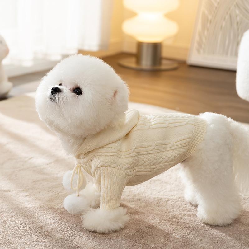 Early Autumn Dog Sweater Autumn and Winter Warm Hooded Hairball Two Feet Teddy Cat Small Dog Pet Bigbear Clothes