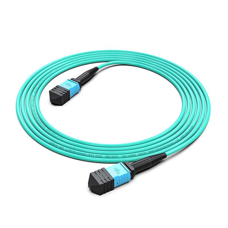 

Shengwei MPO-MPO OM4 8-Core Fiber Optic Patch Cable