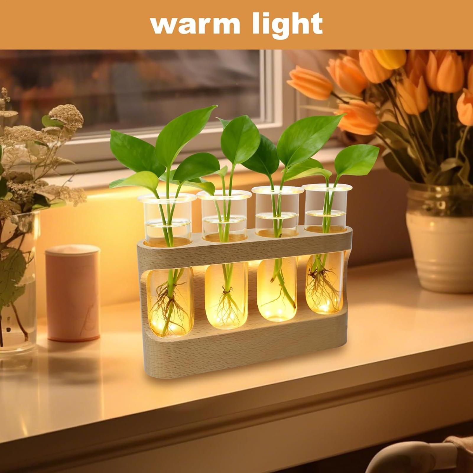 Propagation Vase Decorative Hydroponic Terrarium With LED Lights Glass Test Tubes For Hydroponic Plants For Men Women Youth China Mainland