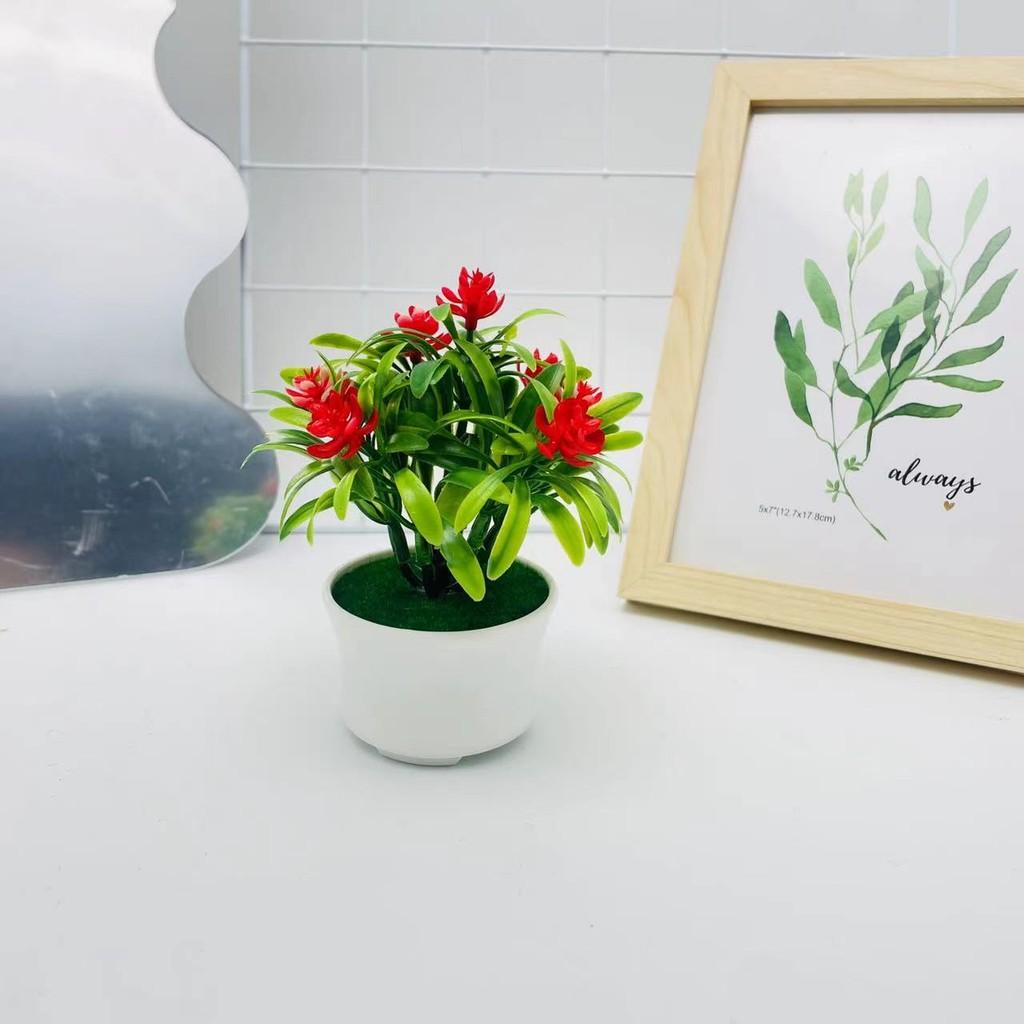 

Искусственная камелия сасанква бонсай для фотофонов и декора в помещении Bright Red