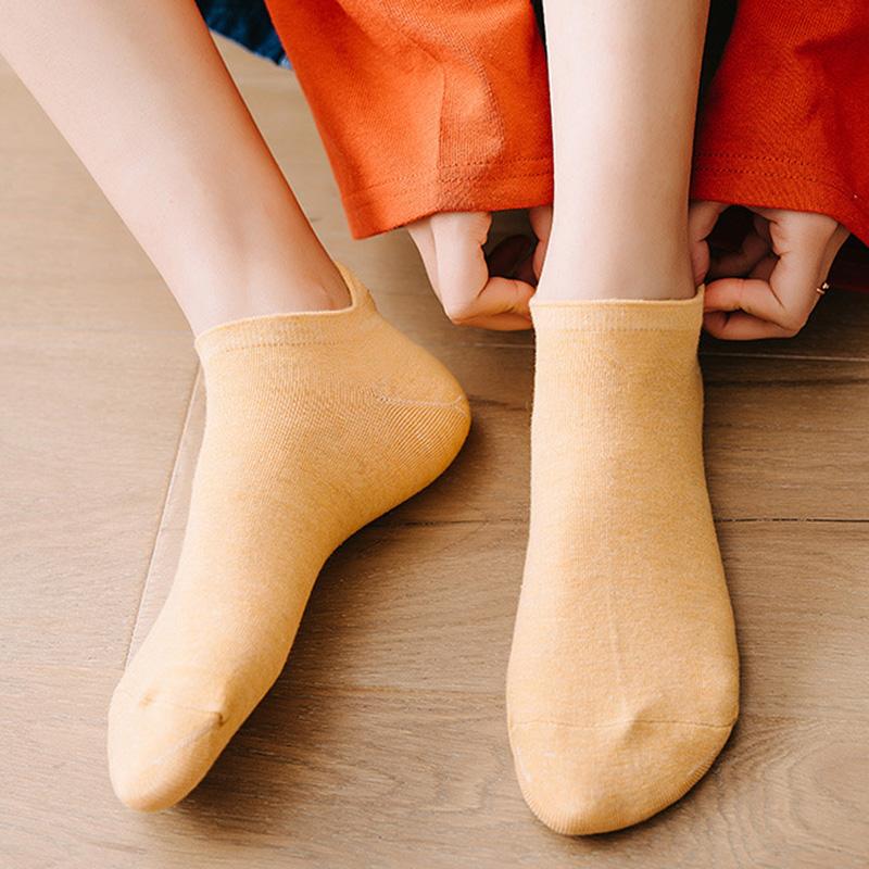 5 Pair Animal Embroidery Ankle Socks Women Cute Cat Summer Short  Socks Set Cartoon Kawaii Soft  Brand Designer Sokken