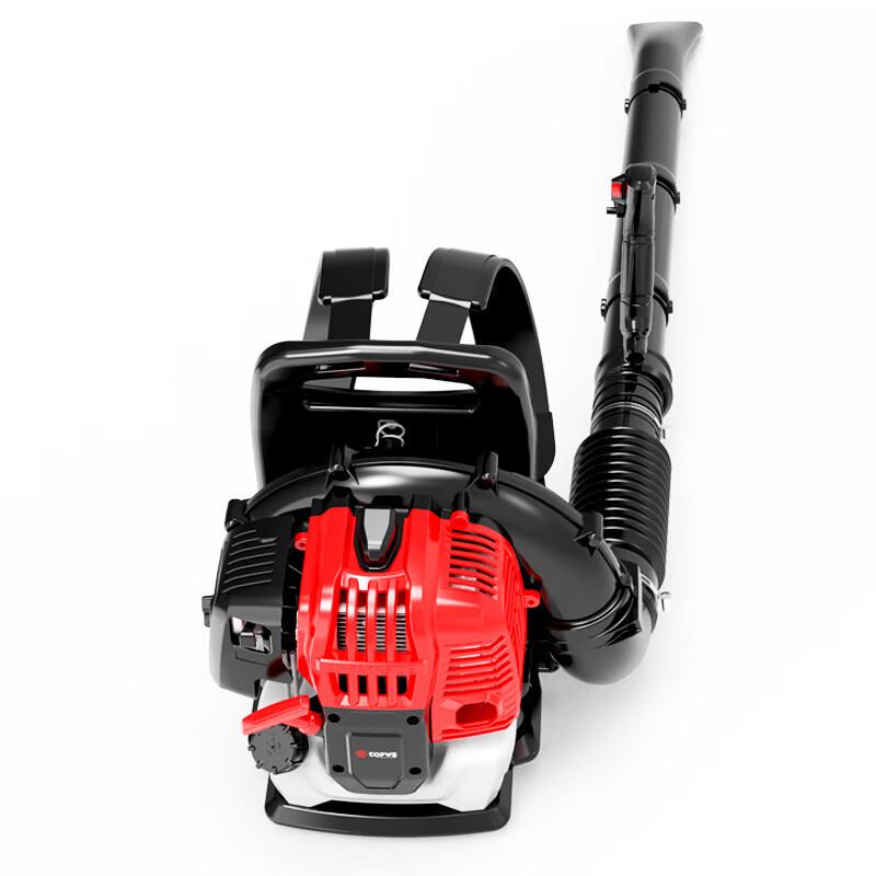 High-Power Multifunctional Backpack Blower CN plug (adapter included)