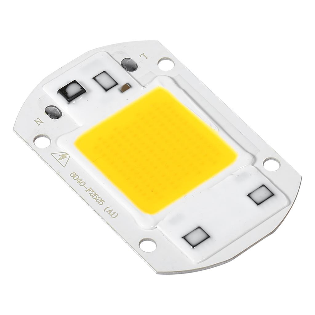 1Pc 220V 20W White High Power Integrated LED Floodlight COB Chip Lamp (20W White)