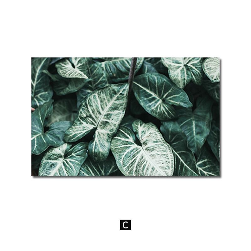 Refreshing Pebbles Plant Green Leaf Canvas Poster Simple Nordic Wall Art Painting Prints Modern Picture Living Room Home Decor