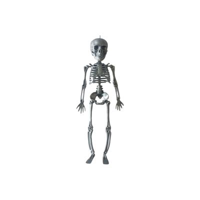 Posable Halloween Skeleton, Full Body Skeleton Decoration Movable Posing Joint Skeleton,