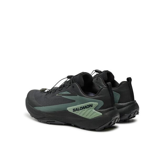 Кроссовки для бега Salomon Genesis Gore-Tex