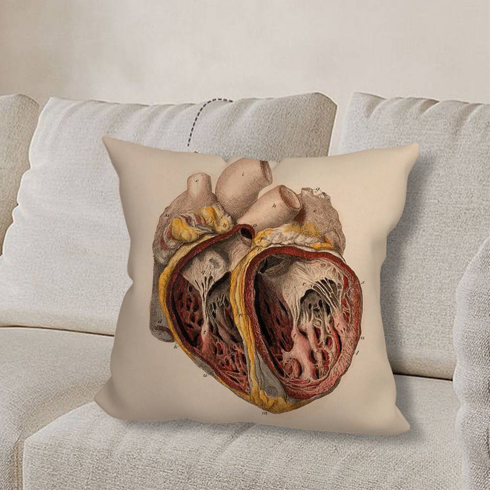 M-Medical Anatomy Art HumanS pillow cover living room sofa cushion cover bedroom room bed pillow cover home decoration