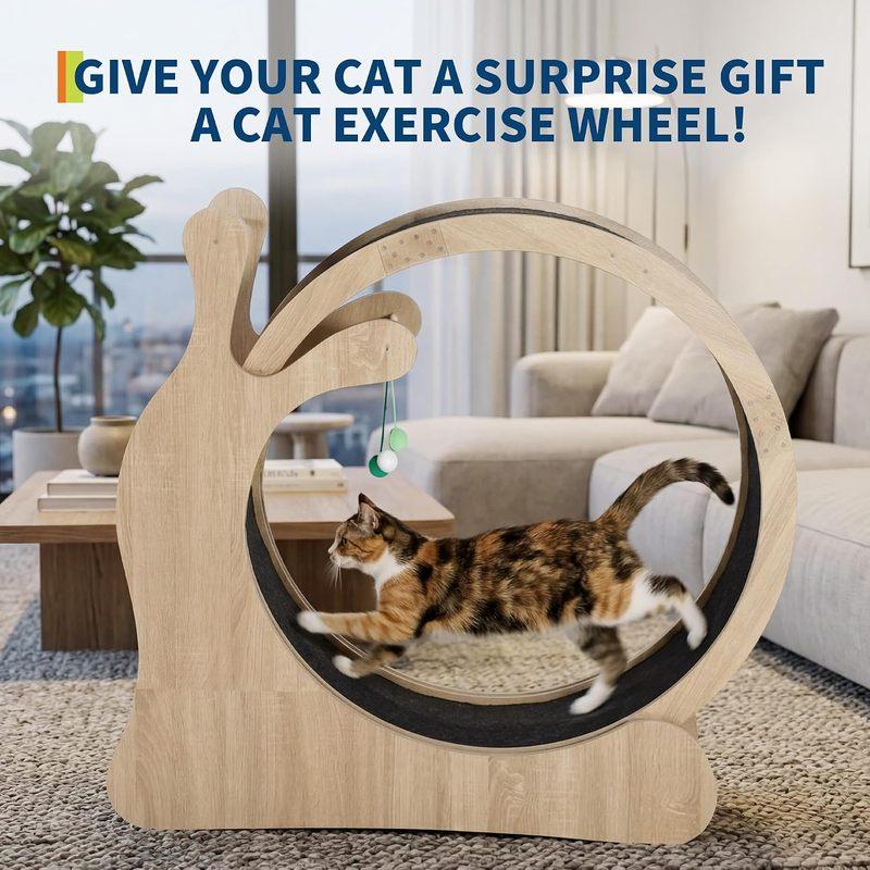 Garvee 3 en 1 Roue d'Exercice pour Chat en Bois Massif Grande Taille Fournitures pour Animaux Anti-Pincement Pied Rouleau de Fitness Structure d'Escalade pour Chat Jouet pour Chien