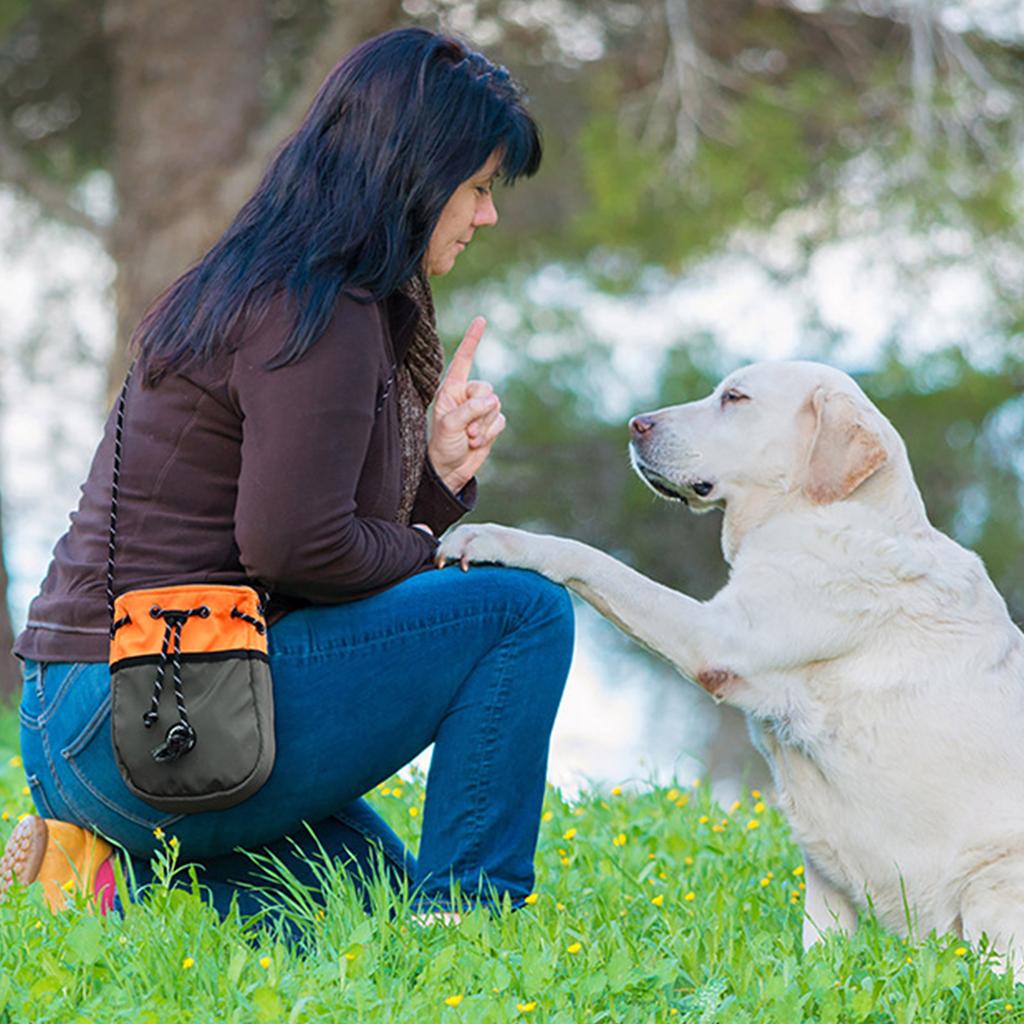 Waterproof Dog Treat Pouch for Training Walking Easy To Use Snack Bag with Drawstring Designs Adjustable Shoulderbag