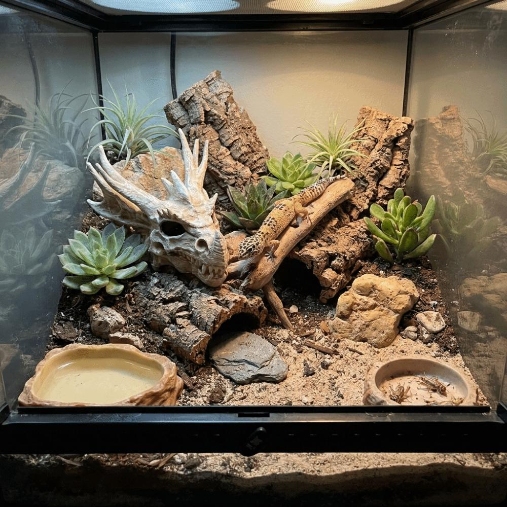 Realistic Dragon Bone Fish Tank Ornament 3D Printed Fish and Shrimp Shelter Feeding Box Decoration
