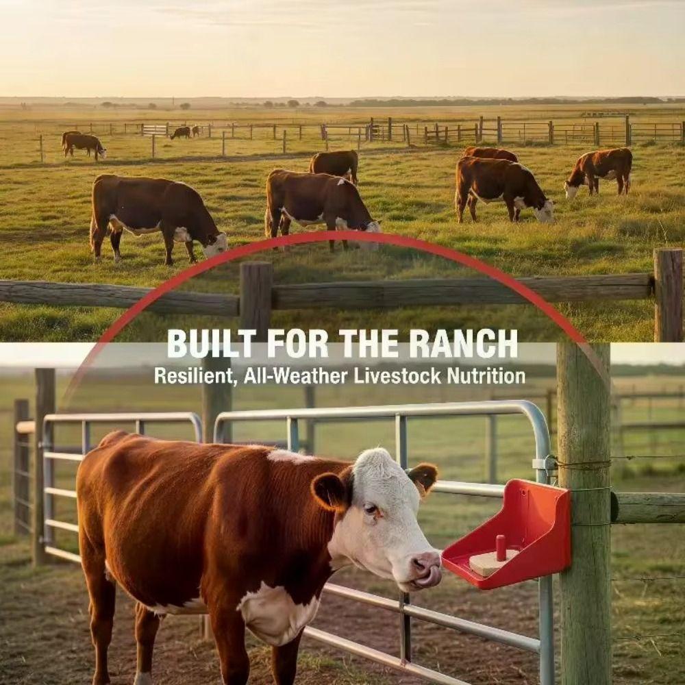 Special Purpose Salt Block Box Plastic Mineral Block Tray Lick Block Holder Pasture Equipment