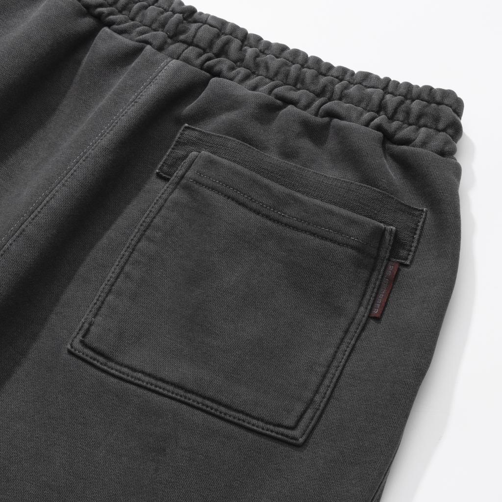 PSSHOPPER Pigment One-Pleat Wide Pants [Dark Gray]