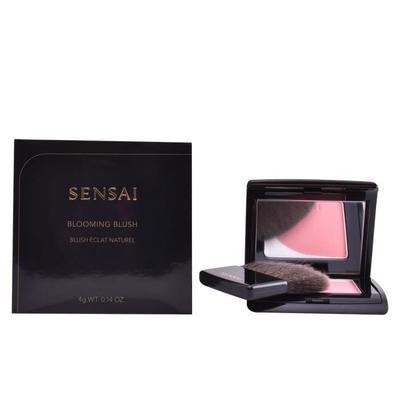 Gesichts-Make-up  – Rouge