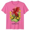 St Davids Day Welsh Flag Dragon Daffodil Wales Festival T Shirt Unisexs Kids Unisex
