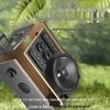 Soaiy SA-F87 15-inch Portable Bluetooth KTV Speaker CN plug (adapter included)