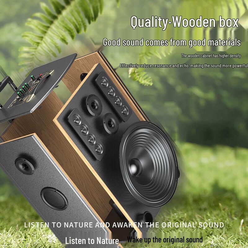 Soaiy SA-F87 15-inch Portable Bluetooth KTV Speaker CN plug (adapter included)