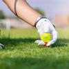 Kasco Golf Ball Zeus Impact Women's 3 Pearl Yellow