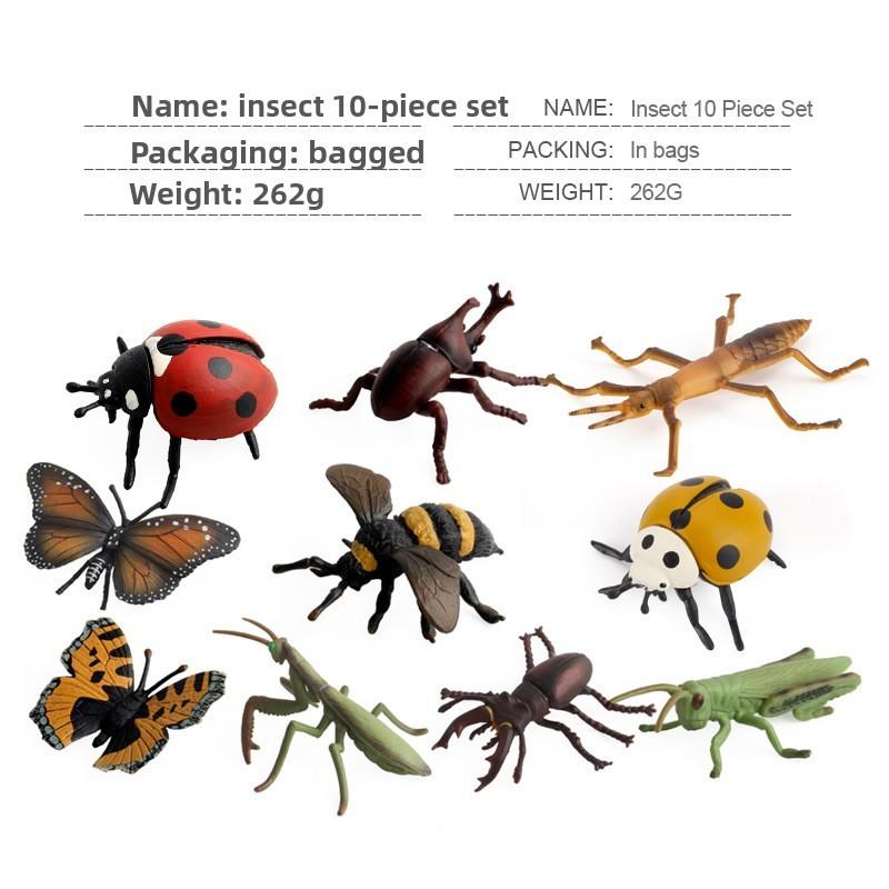 Realistic Pvc Insect Bees Spiders Model Set For Science Education And Collection Display