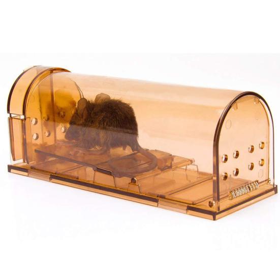 2 Adet Şeffaf Tekrar Kullanılabilir Fare Tuzağı Kemirgen Fareler Canlı Yakalayıcı Küçük Hayvanlar Kafesi