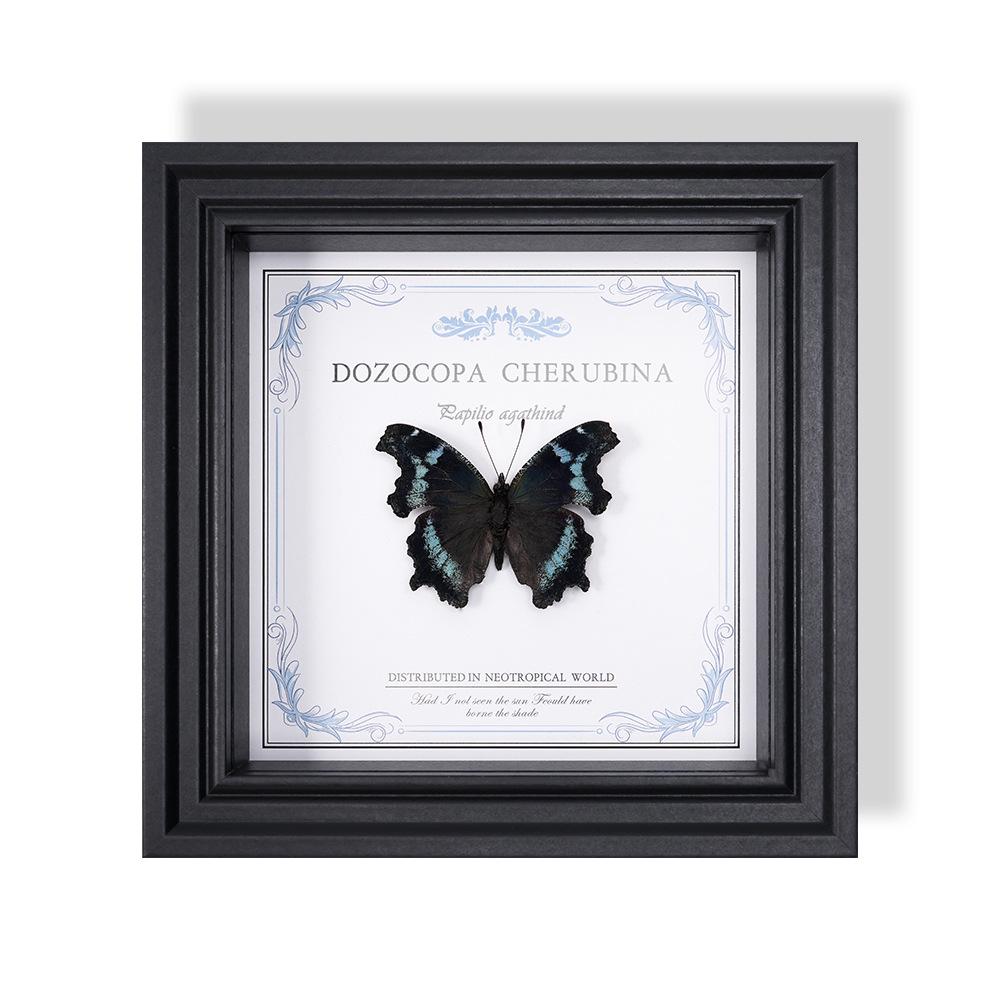 Wall-Mounted Butterfly Specimen Photo Frame: Home Decor & Gift for Valentine's Day, Qixi, Birthday, Couples & Insect Lovers