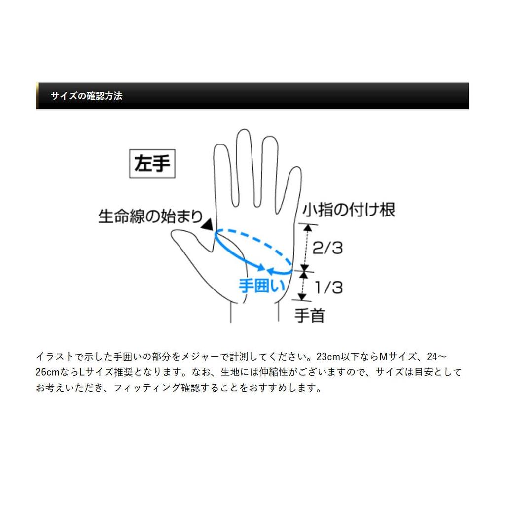EVERGREEN Protect Black E.G.UV Gloves, Large,