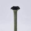 Fenghuoren 8mm x 100m Military Green Multipurpose Rope