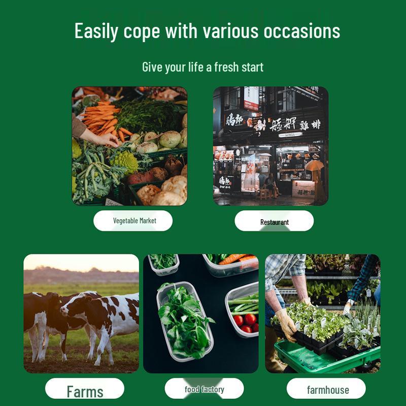 Moth & Gnat Trap: Effective Catcher and Killer for Indian Meal and Rice Flour Moths - Single Pack