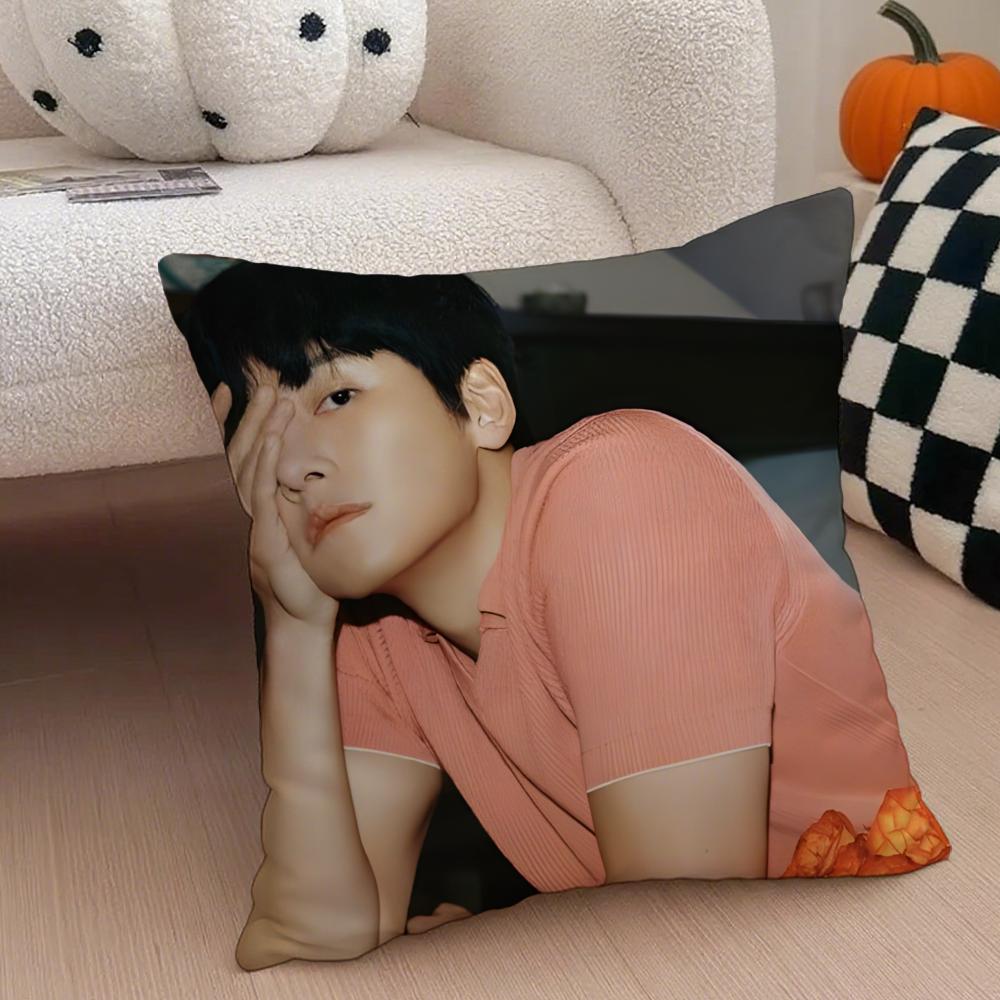 JJi Chang wook Cushion Cover Throw Pillow Cover Hidden Button Durable Polyester Chair Cushion