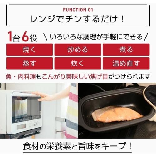 Hiro Corporation Microwave Cooker, Grilled Fish, Grilling, Frying, Boiling, Steaming, Cooking, Reheating, Dishwasher Safe, Includes Recipe Book, Range