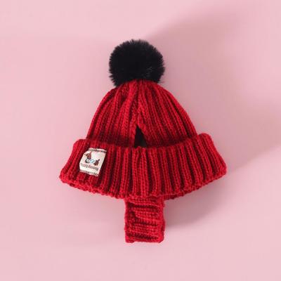 Frostbite Prevention Pet Headwear Pet Ear-friendly Wool Hat Hand-knitted Pompon Pet Hat for Small Dogs Cats Winter Warmth Wear