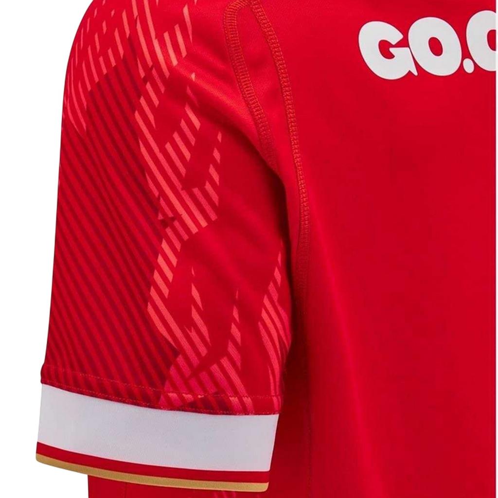 Wales RU Mens 2024/25 Home Shirt