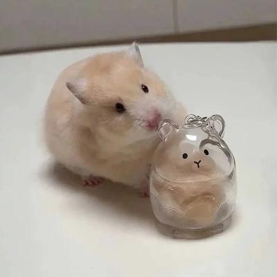 Hamster Fur Storage Keychain Cute Pet Shaped Transparent Hair Container Box Pendants Key Ring DIY Accessories Memorial Gifts