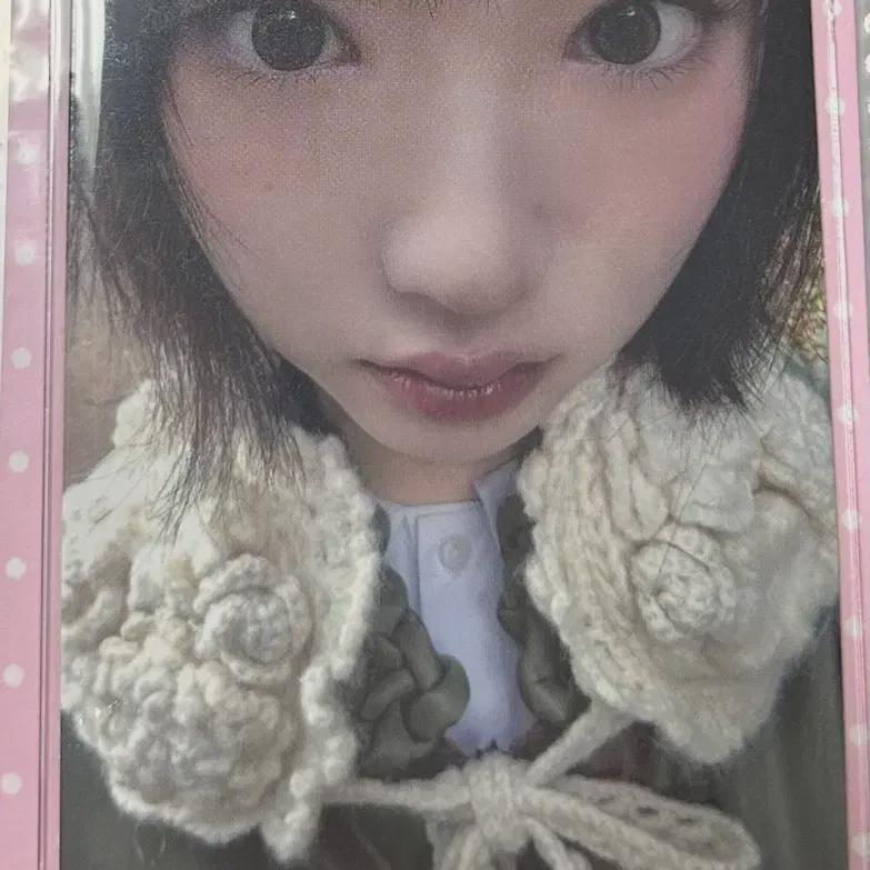 

Шапки К Шапкам Хатту Хатту Джиу Невыпущенная Фотокарточка Фотокарточка Фока