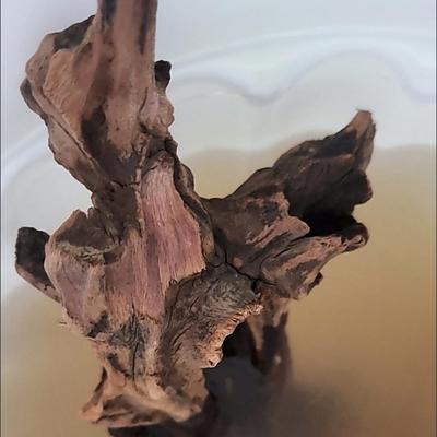 1PC Natural Sinkable Driftwood Aquarium Wood Decoration for Fish Tank Aquatic Plants Landscape