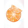 Interesting Sliced Fruits Such As Oranges Lemons And Grapefruits Art Poster Canvas Printed Mural Living Room Bedroom Home Decor