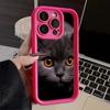 LZ3 Black Cat Green Eyes Silicone Phone Case for iPhone 11 13 14 15 16 Pro Max 7 8 16 Plus 12 Mini XS Max XR Shockproof Back Cover