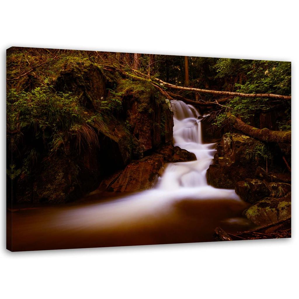 Canvas Print Mountain Stream Forest