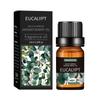 10ML Gentle Moisturizing Massage Oil for Oily Skin - Essential Oil for Body Massage
