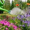 Set Of 5 Watering Sprinkler Head Plant Watering Solution Plant Watering Attachments Sprinkler Head Set for Seedlings