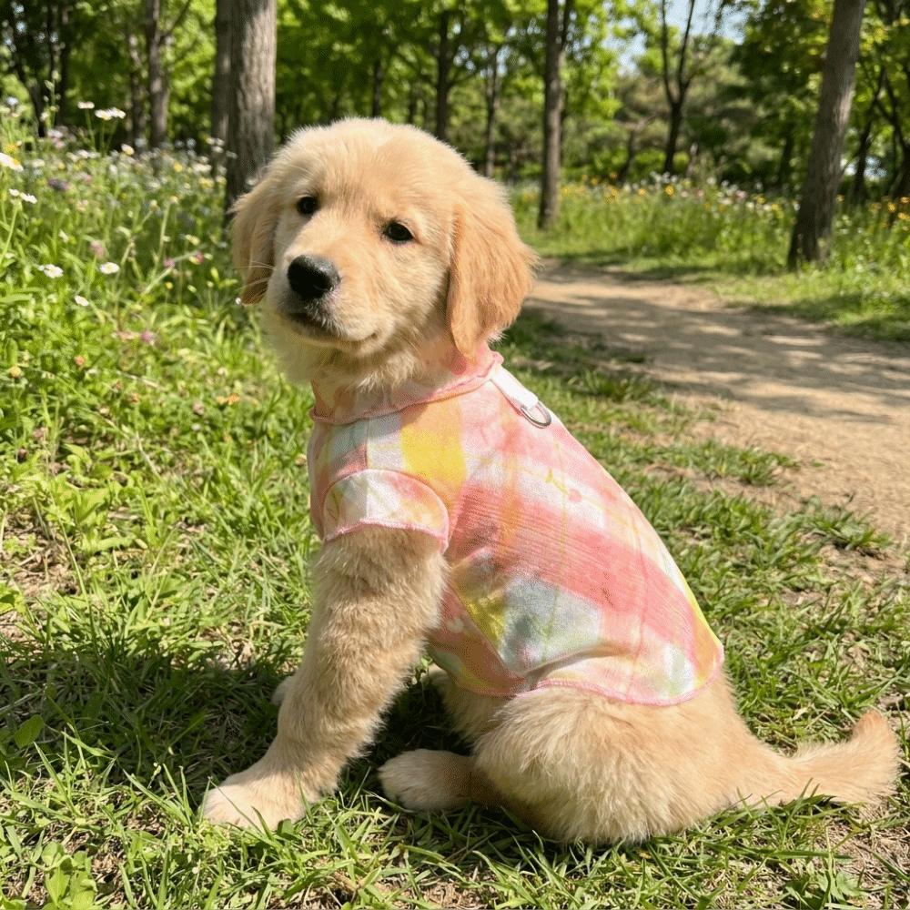 Cooling Pet T-Shirt Thin Breathable Sun Protection Clothes Dog Sunscreen Clothes Outdoor Activity