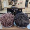 capten Elle (Authentic) Full Lace Garden Hood ELC3UKB006AA