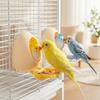 Eggshell Bird Parrot Feeder Toy Detachable Parrot Training Toy Bird Food Dispenser  Cage Accessory