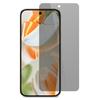 For Google Pixel 10 Pro XL Anti-Spy Screen Protector Tempered Glass Screen Film